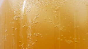 FxNA-blog-header-kombucha