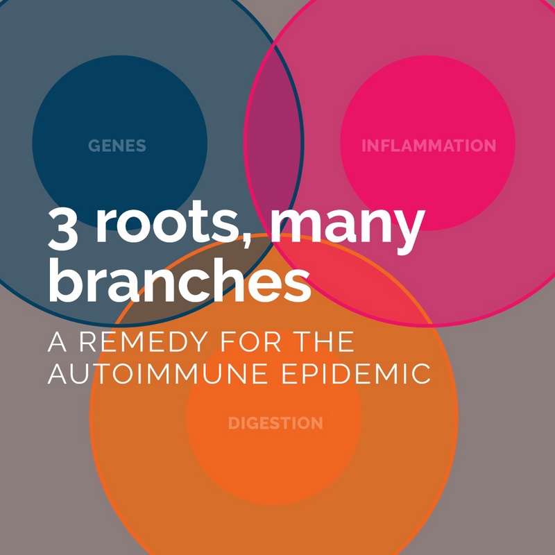 remedy for autoimmune epidemic